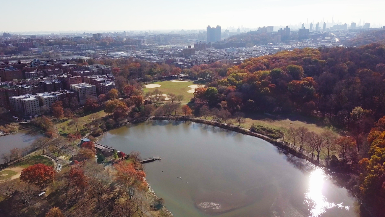 All For 1: Inwood Hill Park